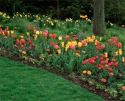 伊斯兰在西非的传播(2/3)：马里和桑海