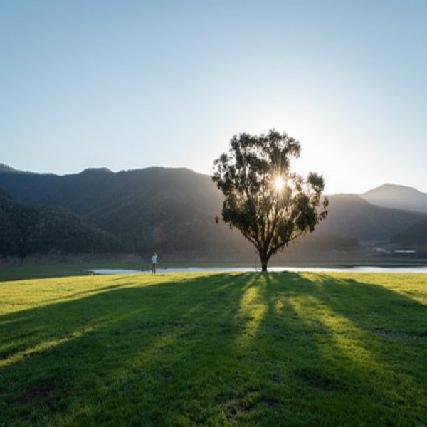 ఖుర్ఆన్ తెలుగు భావానువాదం (అరబీ & తెలుగు) – 26వ భాగం