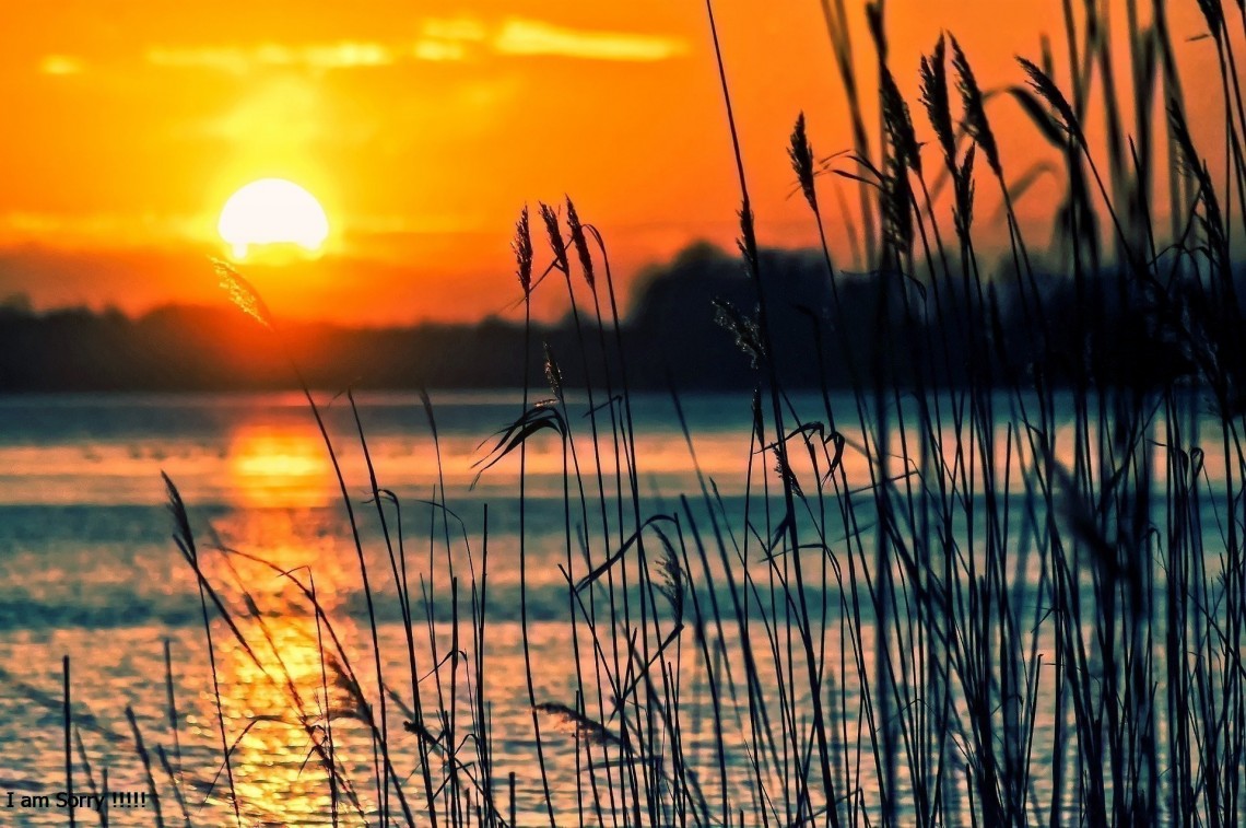 Laurence Brown, Médico, EUA (parte 2 de 2): Sendo Fiel a uma Promessa