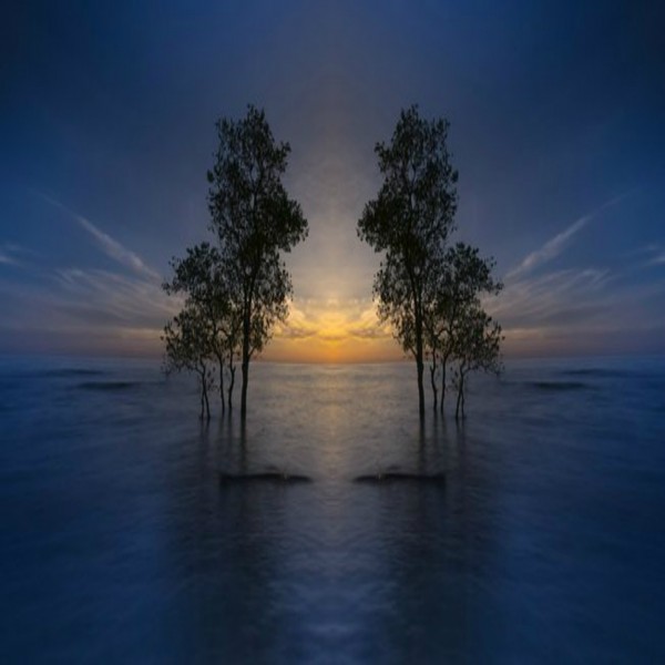 L'Elevazione della Condizione Femminile (3 di 5): Una Differenza Fondamentale