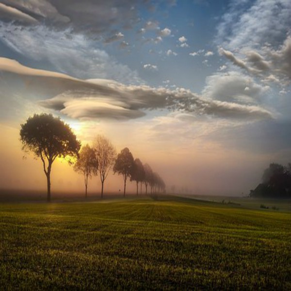 Sura at-Takathur (Die Vermehrung)