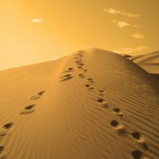 LES BEAUTÉS DE L’ISLAM (PARTIE 1 DE 3): L’IGNORANCE NE PEUT ÉCLIPSER LA BEAUTÉ ET LA VÉRITÉ