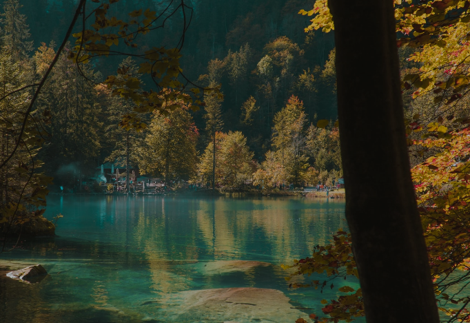 Lessons From Valentine's Day: 6 Loves to Focus on