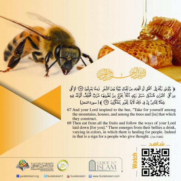 "And your Lord inspired to the bee"