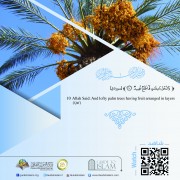 "And lofty palm trees having fruit arranged in layers"