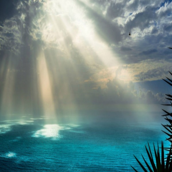 Love of Allah subhanahu wa ta`ala