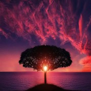 First Impressions: Al-Raḥmān