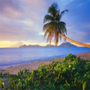 イスラームの包括性（その1）：預言の終結