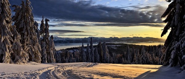 后世（2/2）：结论