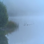 LE FLUX, LE JEÛNE ET LE FALAAH (PARTIE 1 DE 2)