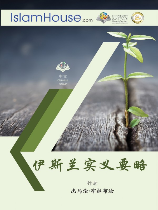 伊斯兰实义要略