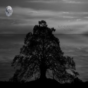 రబ్వహ్ జాలియాత్ 3వ స్థాయి 12వ సీరతు పాఠం