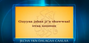 guyyaa jaha shawwaalarraa soomanuu