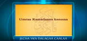 Ramadaana keessa umraa godhuu