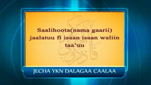 namoota gaggaarii jaalachuufii itti saahibuu