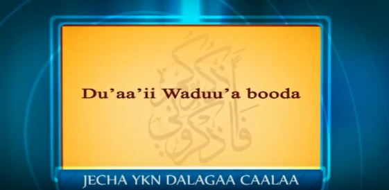 duaaii wuduua booda godhachuu