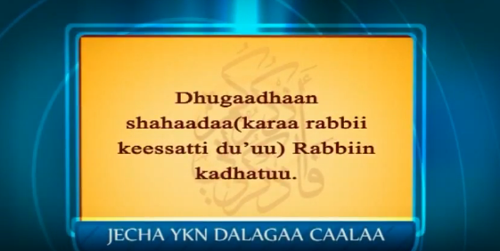 Dhugumaan shahiidummaa wareegama Rabbi kadhachuu