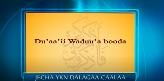 duaaii wuduua booda godhachuu