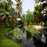 Pagkatapos ay ano pa, o Tao?