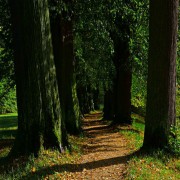 Shall we believe in you while you are followed by the lowest of people?