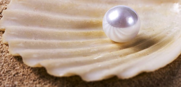 ¿Degrada el Islam a la mujer?