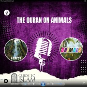 The Quran On Animals