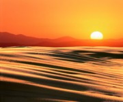 ఖుర్ఆన్ తెలుగు భావానువాదం (అరబీ & తెలుగు) – 21వ భాగం