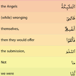 Quran English Translation