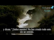 Reflexiones en la creación de Dios
