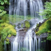 Retidão e Pecado (parte 1 de 2): Retidão é Bom Caráter