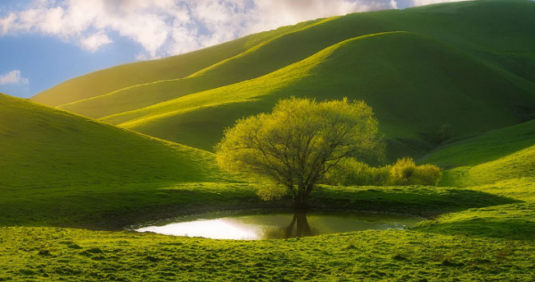 Metode prin care îți poți îmbunătății calitatea vieții