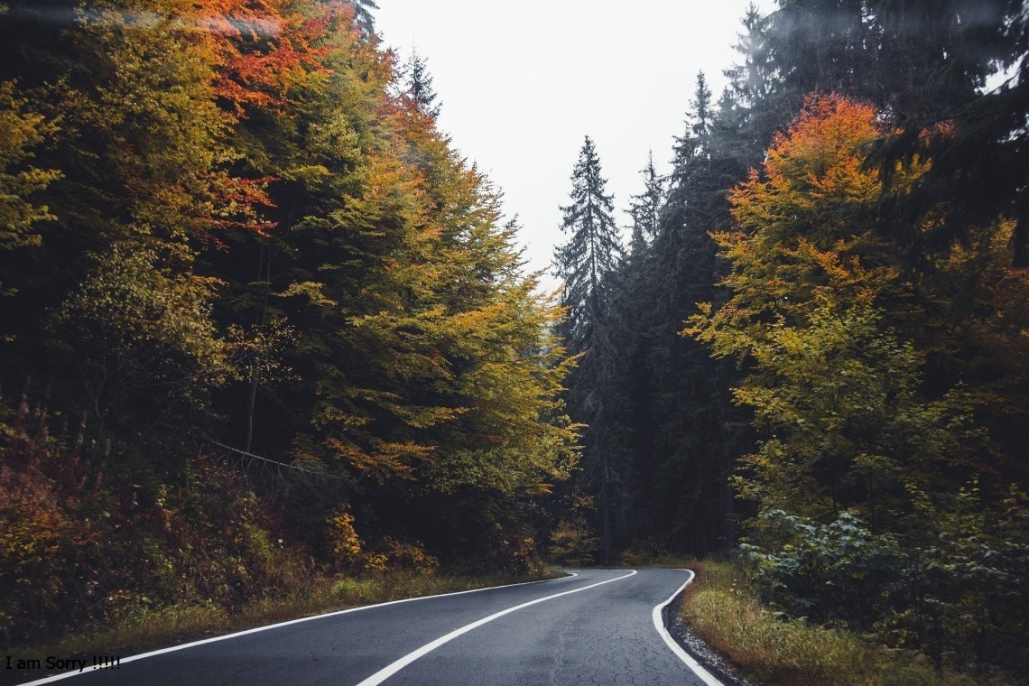 50 Consejos importantes para los nuevos musulmanes