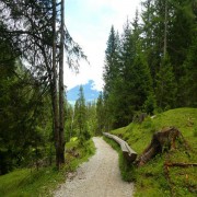 इस्लाम और दूसरे धर्मों में बहुविवाह: लेखक: जमाल मुह़म्मद ज़की