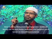 9- Die Schlachtung der Tiere