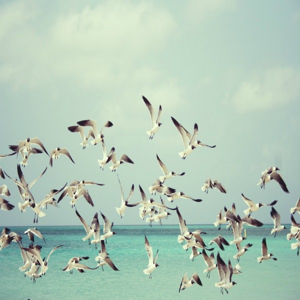 ムハンマドについての証言（中）