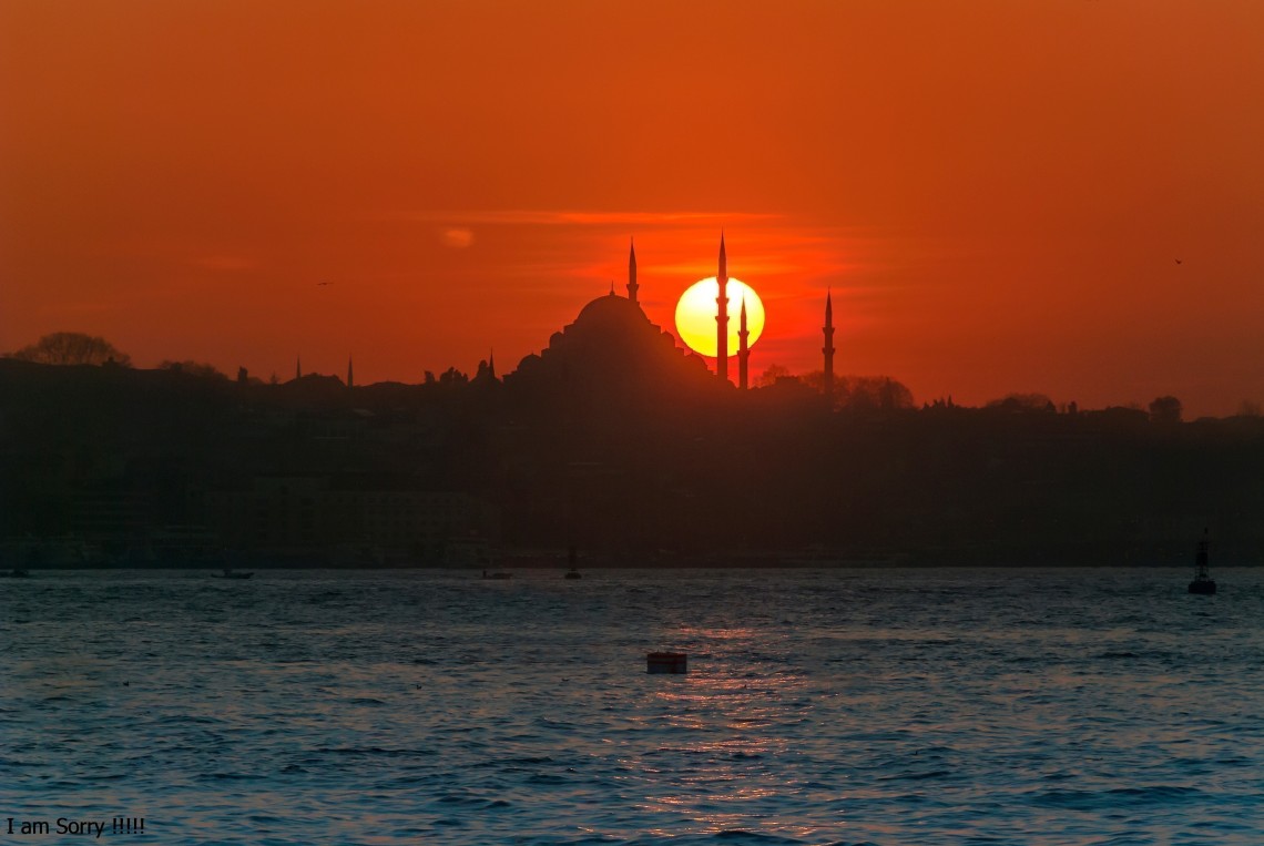 Stephen Schwartz, periodista, Estados Unidos