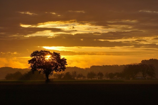 Die Reise ins Jenseits (teil 4 von 8): Der Gläubige und das Paradies