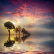 Der größte Befehl in der Bibel und im Qur´an