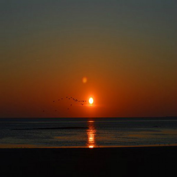 Badiilee gurguddoo 2