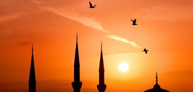 Categories of Tawheed