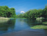 Das alte Königreich Israel (teil 6 von 6):Königtum und Prophetentum