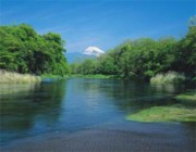 Древнее царство Израиль: царство и пророчество (часть 6 из 6)