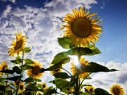 Die letzte Person, die das Paradies betritt (Teil 2 von 2): Nur ein wenig mehr