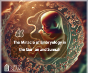 The Miracle of Embryology in the Qur’an and Sunnah
