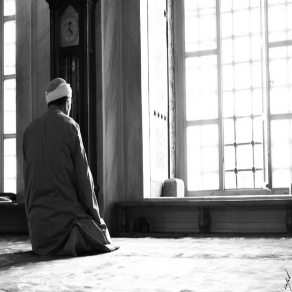 The Perfect Believer