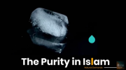 The Purity in Islam