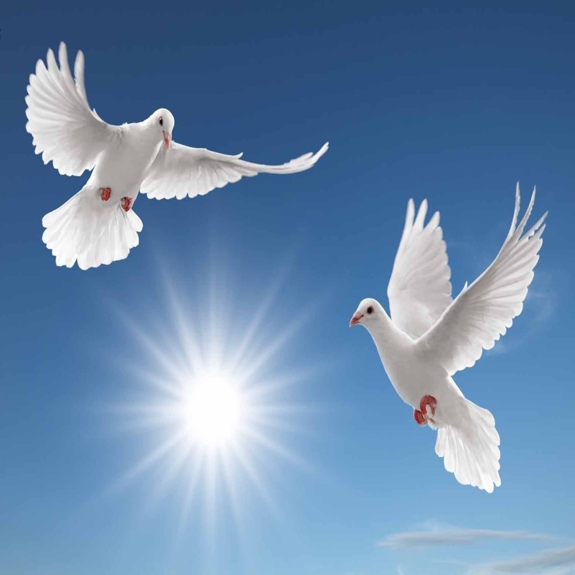 The search for inner peace