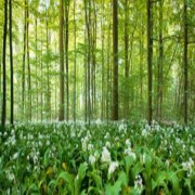 LES SIGNES DE DIEU (PARTIE 2 DE 2)