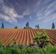 История Адама Часть 3. Сошествие на землю