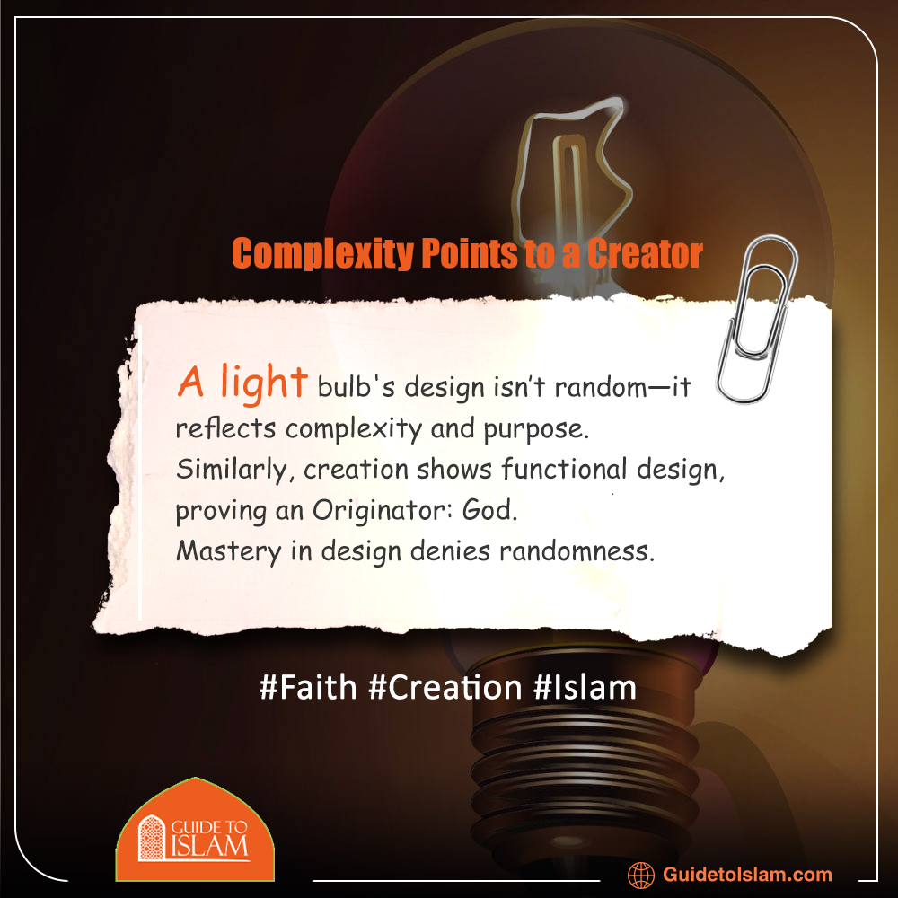 Complexity Points to a Creator